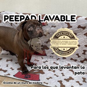 Pee Pads Lavable 70x80cm Diseño Hueso Marrón Pañal Entrenamiento Absorbente
