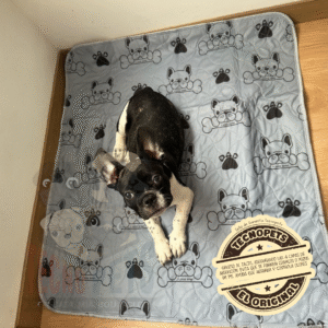 Diseño Gris Pee Pads Lavable 80x90cm Pañal Entrenamiento Absorbente