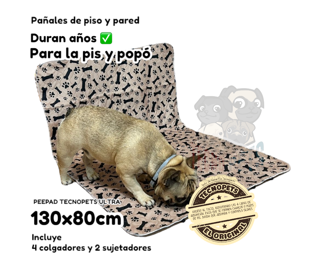 Photoroom_20250529_120946